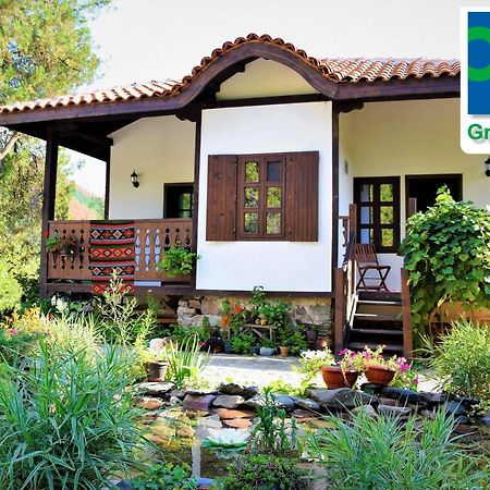Golden Horn Guest House Iskrets المظهر الخارجي الصورة